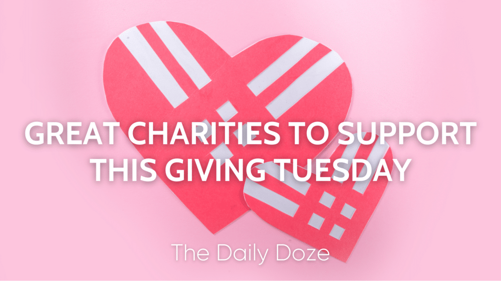 Great Charities to Support This Giving Tuesday