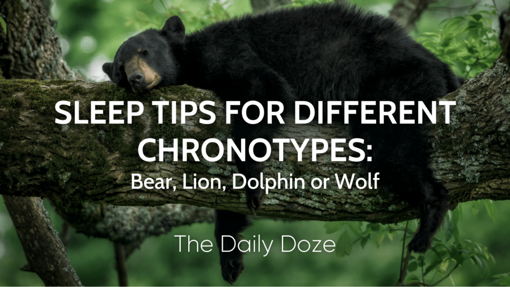 Sleep Tips For Different Chronotypes: Bear, Lion, Dolphin Or Wolf